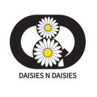 DD DAISIES N DAISIES