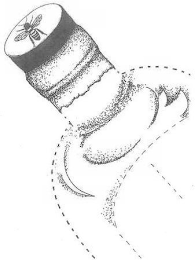 Image Trademark