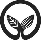 Image Trademark