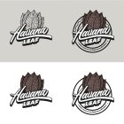 HAVANA LEAF HAND-MADE IN THE DOMINICAN REPUBLIC