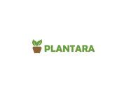 PLANTARA