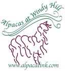 ALPACAS AT WINDY HILL WWW.ALPACALINK.COM