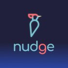 NUDGE