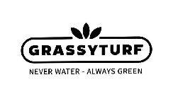 GRASSYTURF NEVER WATER - ALWAYS GREEN