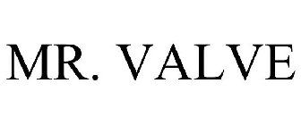 MR. VALVE