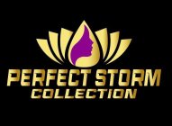 THE PERFECT STORM COLLECTION