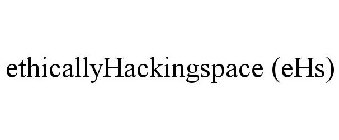 ETHICALLYHACKINGSPACE (EHS)