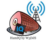 IQ HAMIQ BY W3DJS