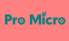 PRO MICRO