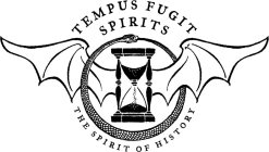 TEMPUS FUGIT SPIRITS THE SPIRIT OF HISTORY