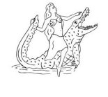 ALLIGATOR W/MERMAID LOGO