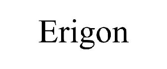 ERIGON