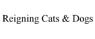 REIGNING CATS & DOGS