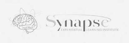SYNAPSE EXPERIENTIAL LEARNING INSTITUTE