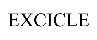 EXCICLE