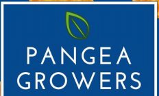 PANGEA GROWERS