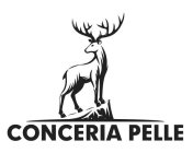 CONCERIA PELLE