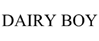 DAIRY BOY
