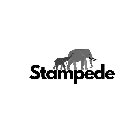 STAMPEDE PETS