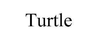 TURTLE