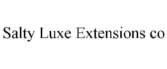 SALTY LUXE EXTENSIONS CO