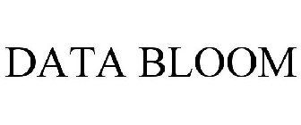 DATA BLOOM