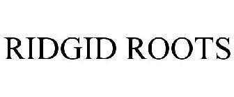 RIDGID ROOTS