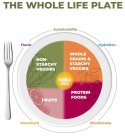 THE WHOLE LIFE PLATE SUSTAINABILITY FLAVOR MOVEMENT MINDFULNESS HYDRATION NON-STARCHY VEGGIES WHOLE GRAIN & STARCHY VEGGIES FLATS & OILS FRUITS PROTEIN FOODS