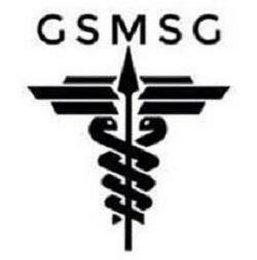 GSMSG