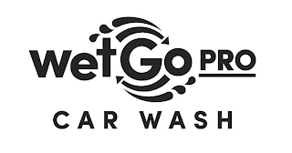 WETGO PRO CAR WASH