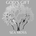 GOD'S GIFT SEA MOSS