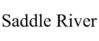 SADDLE RIVER
