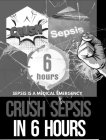 CRUSH SEPSIS 6 HOURS SEPSIS IS A MEDICAL EMERGENCY CRUSH SEPSIS IN 6 HOURS EMERGENCY CRUSH SEPSIS IN 6 HOURS