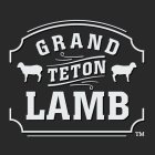 GRAND TETON LAMB