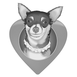 Image Trademark