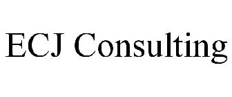 ECJ CONSULTING