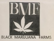 BMF BLACK MARIJUANA FARMS