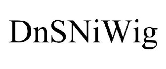 DNSNIWIG