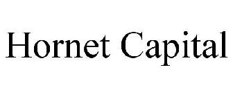 HORNET CAPITAL