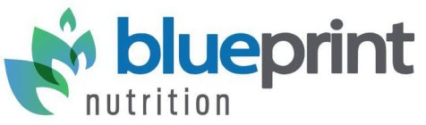 BLUEPRINT NUTRITION