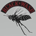 BLACK WASP