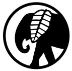 Image Trademark