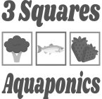 3 SQUARES AQUAPONICS