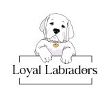 LOYAL LABRADORS