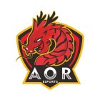 AOR ESPORTS