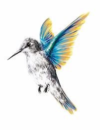 Image Trademark