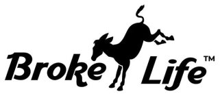 BROKE LIFE