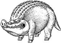 Image Trademark