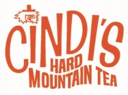 CINDI'S HARD MOUNTAIN TEA