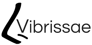 VIBRISSAE